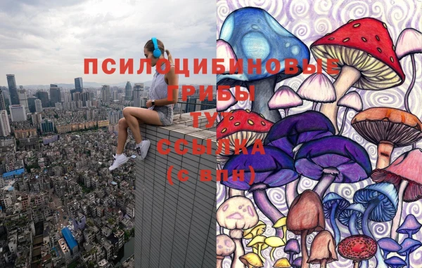 PSILOCYBIN Дмитров