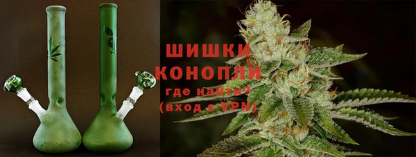 PSILOCYBIN Дмитров