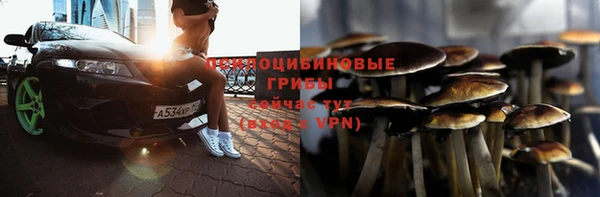 ГАЛЛЮЦИНОГЕННЫЕ ГРИБЫ Гусиноозёрск