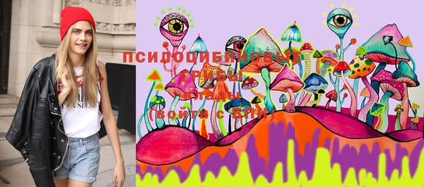 бошки Чегем