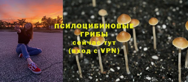 круглые Чекалин