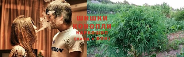 PSILOCYBIN Дмитров