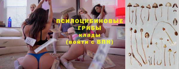 apvp Гусев