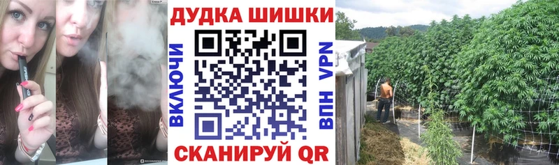 купить наркоту  Циолковский  Конопля индика 